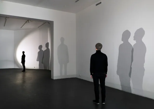 Carmina Latiaeaeti (2016), light installation