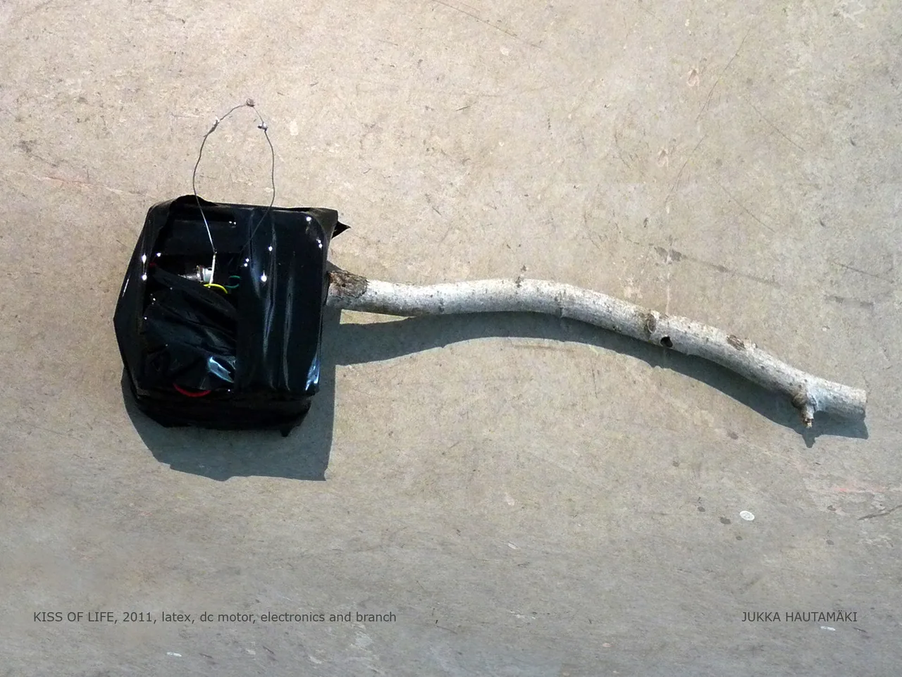 Kiss Of Life (2011), interactive electronic installation